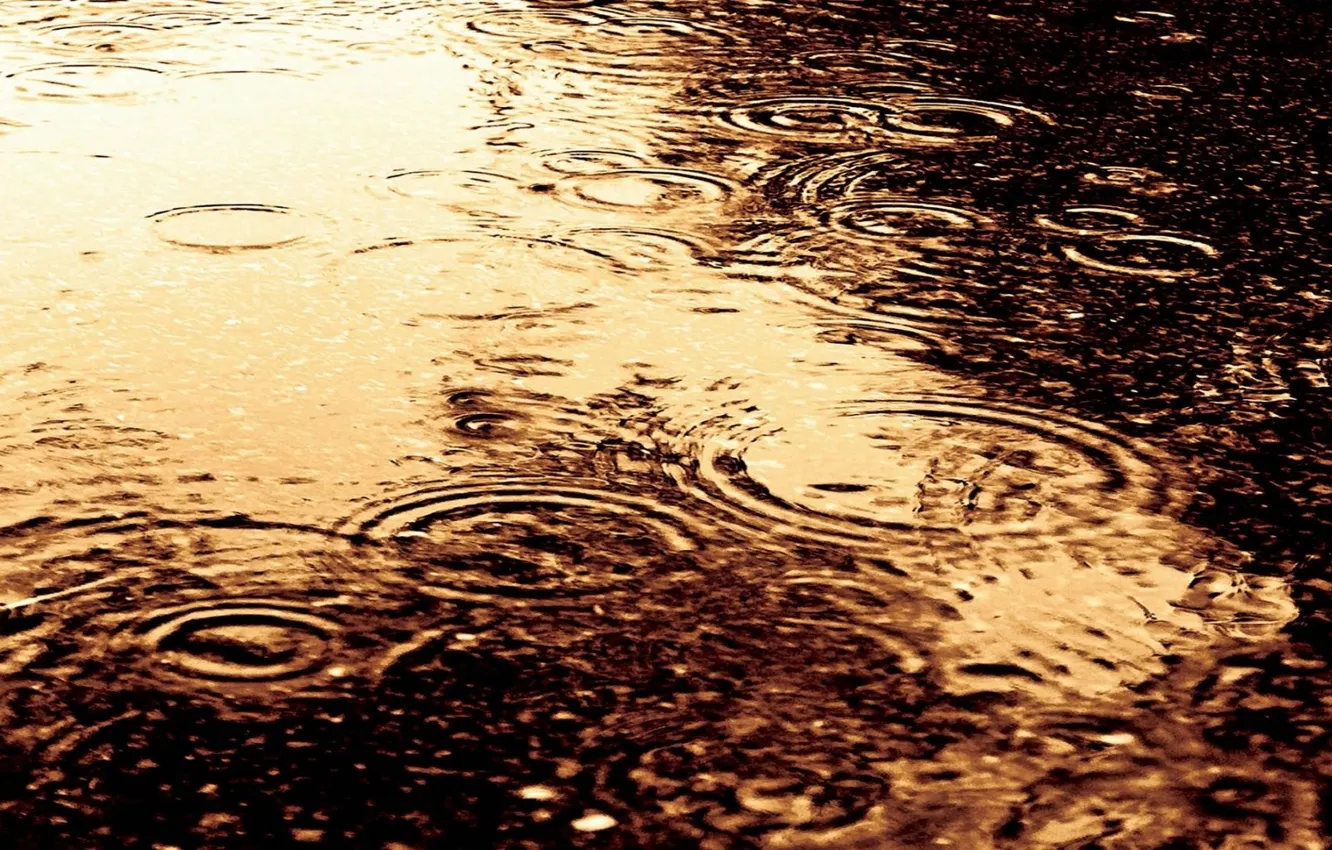 Фото обои вода, капли, круги, дождь, разводы