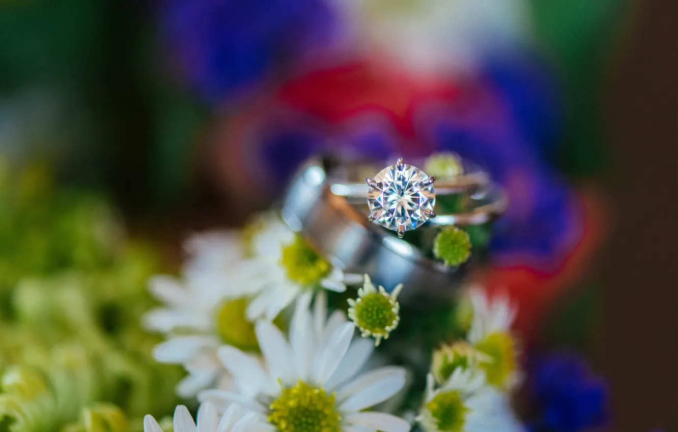 Фото обои камень, кольцо, обручальное