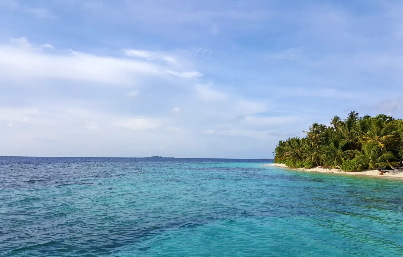 Фото обои пляж, тропики, пальмы, океан, relax, Maldives