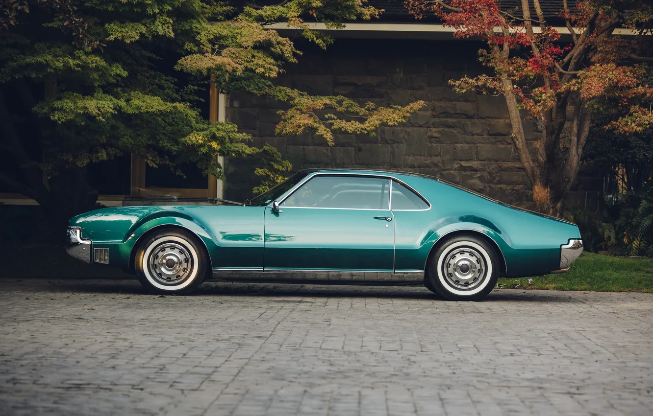 Фото обои nature, muscle car, old, model, oldsmobile, motor vehicle, nobody