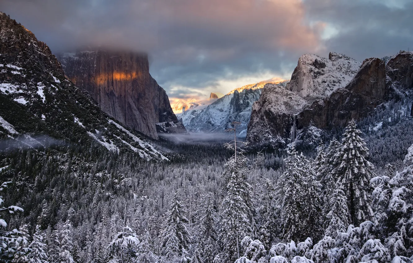 Фото обои зима, лес, облака, снег, скалы, ель, долина, хвойные