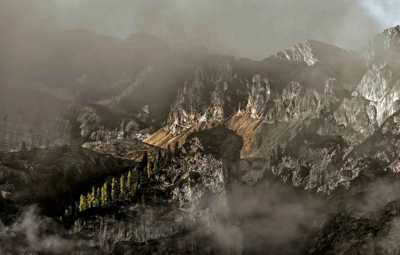 Фото обои пейзаж, горы, туман