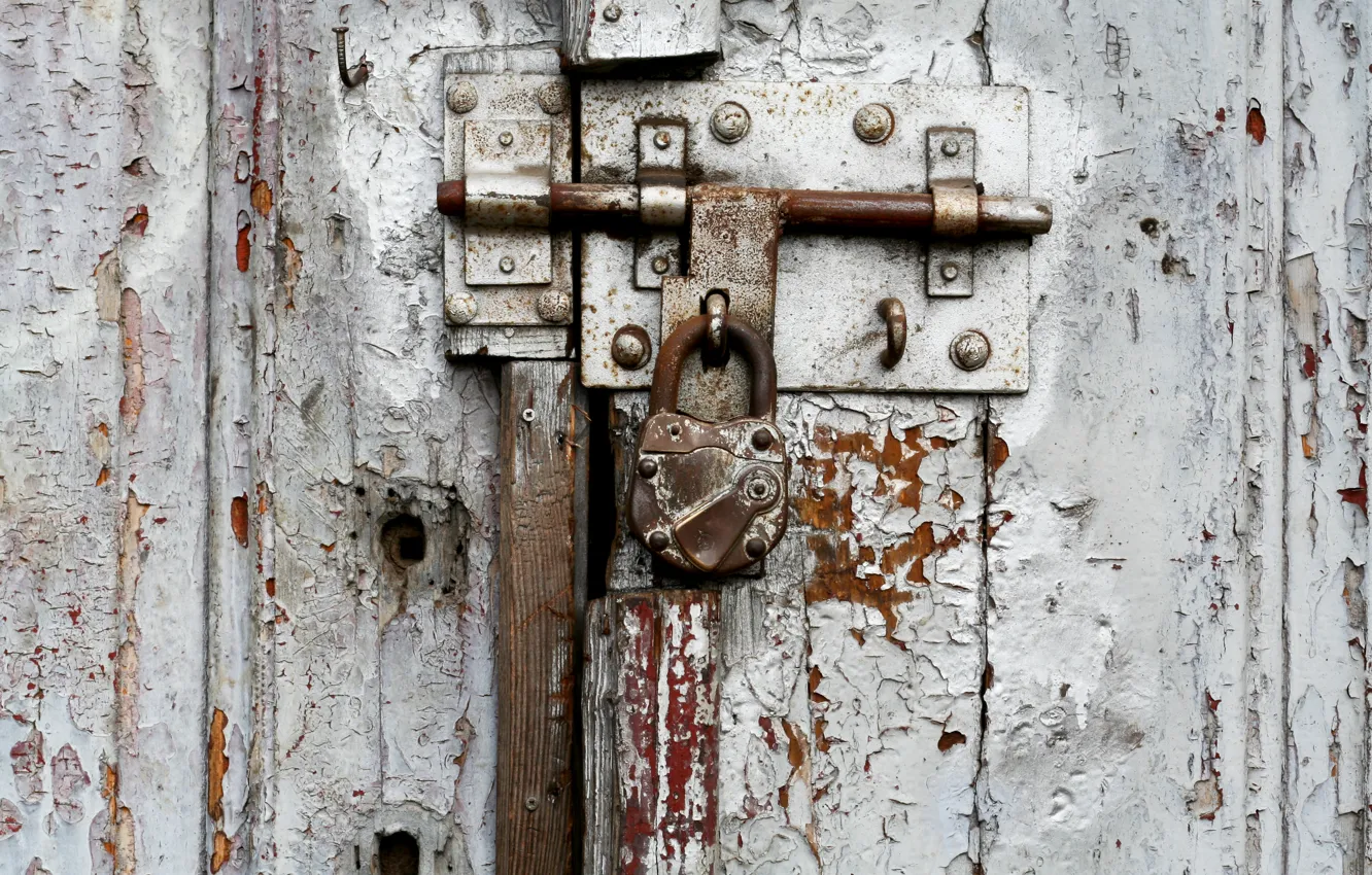 Фото обои metal, white, nail, door, old padlock, screw