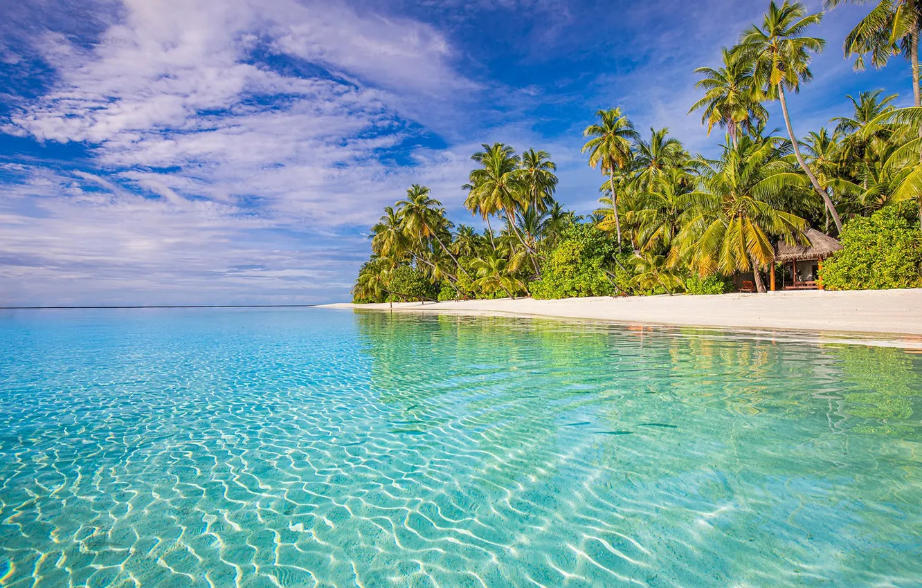 Фото обои пляж, тропики, пальмы, океан, Мальдивы, Индийский океан