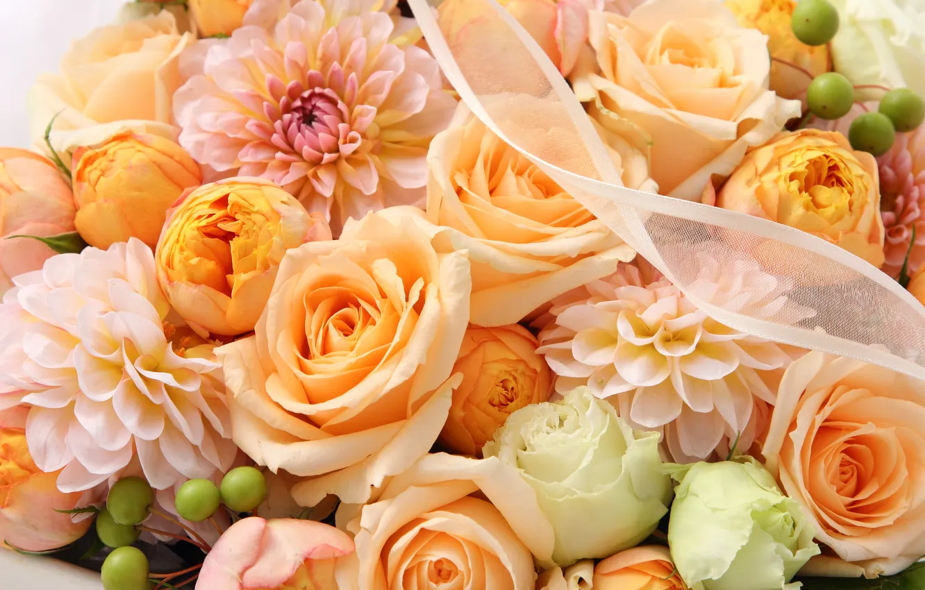 Фото обои цветы, розы, хризантемы, ленточка