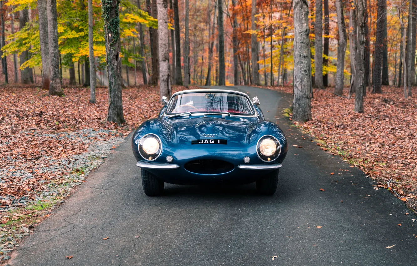 Фото обои Jaguar, front, 1957, XKSS, Jaguar XKSS