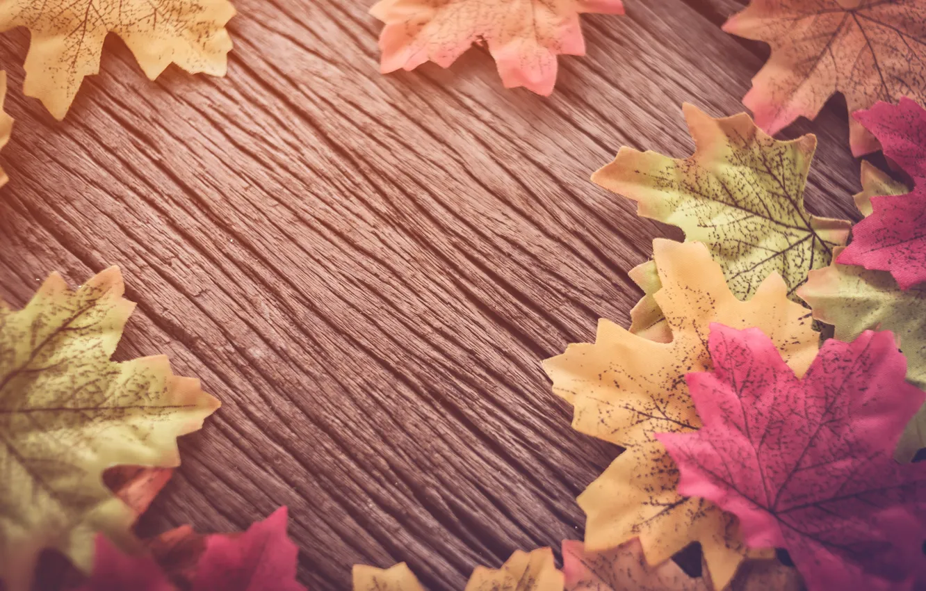 Фото обои осень, листья, фон, дерево, wood, background, autumn, leaves