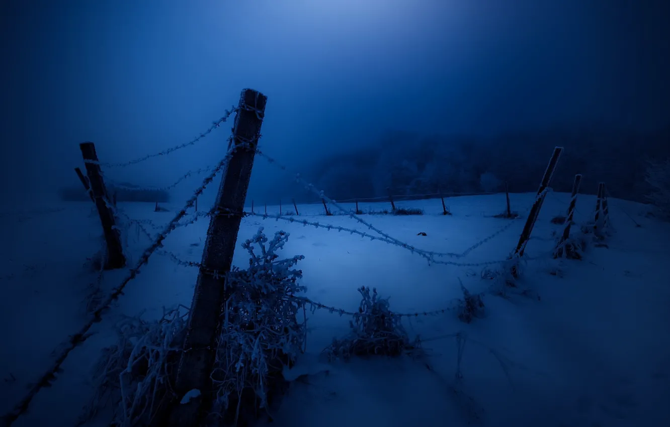 Фото обои зима, снег, ночь, забор