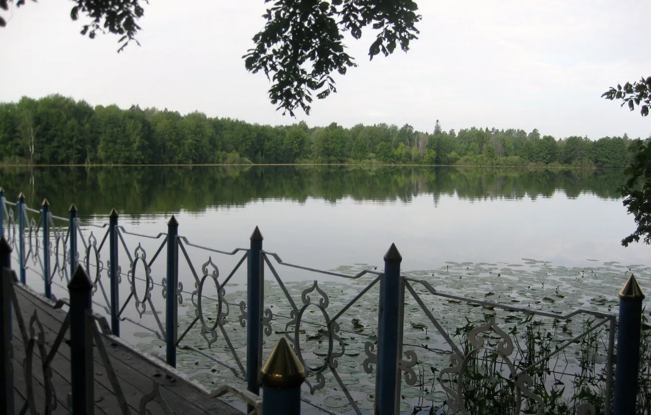Фото обои лес, вода, мост, озеро