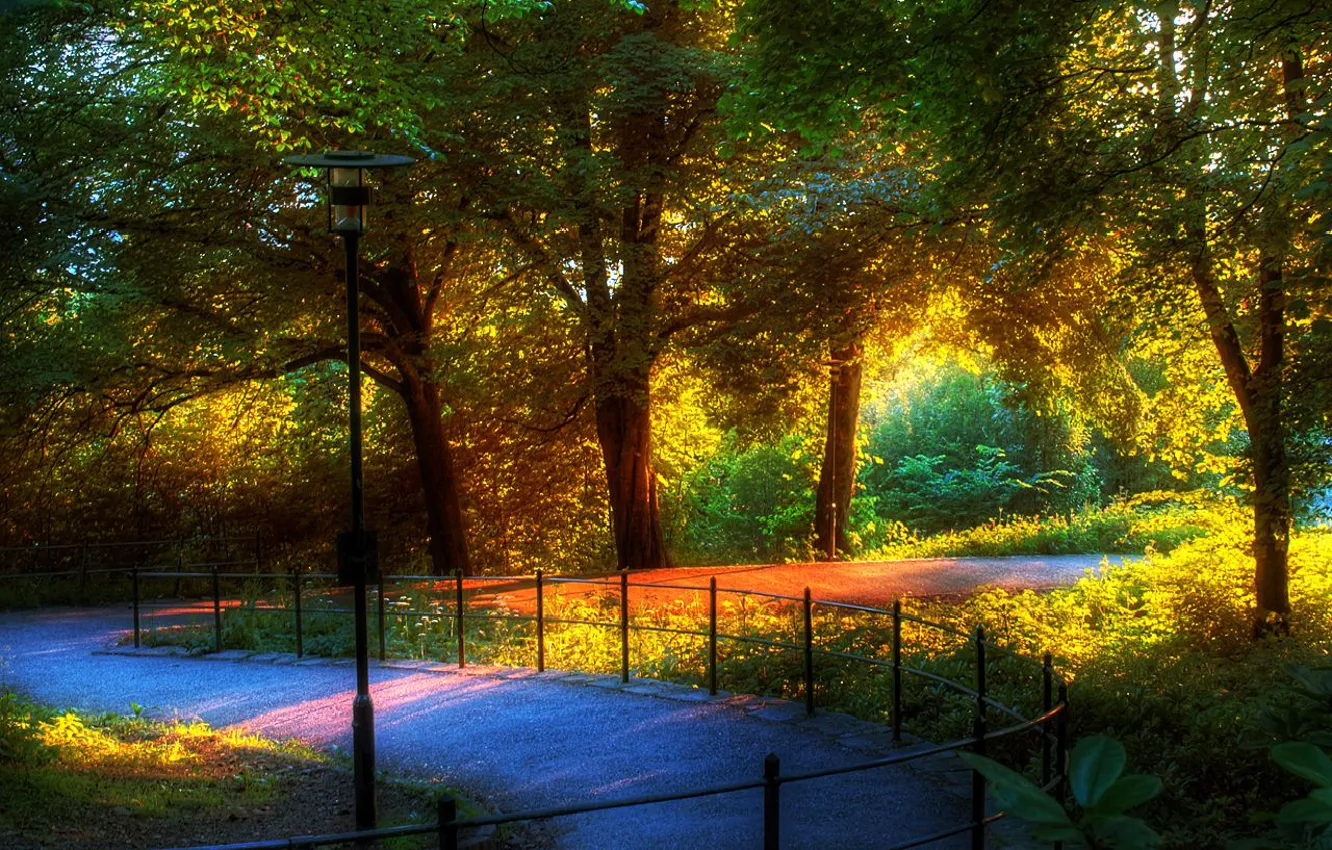 Фото обои природа, парк, хорошо