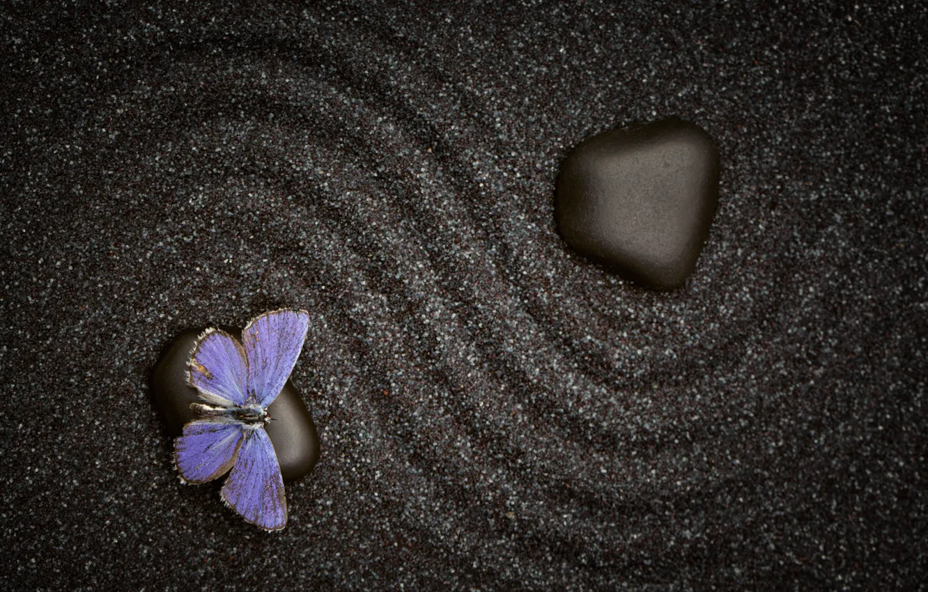 Фото обои песок, узор, бабочка, камень, текстура