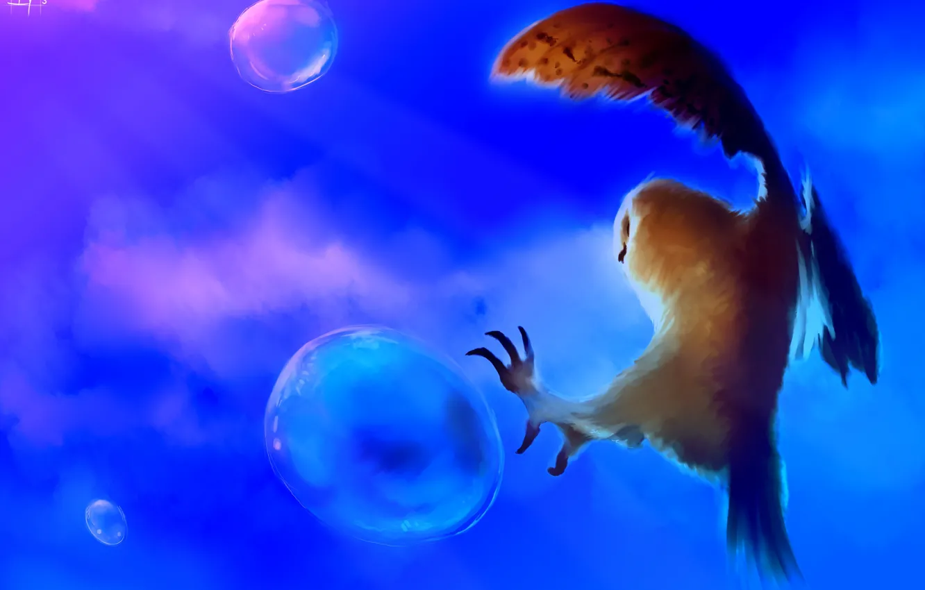 Фото обои пузыри, фон, сова, птица, арт