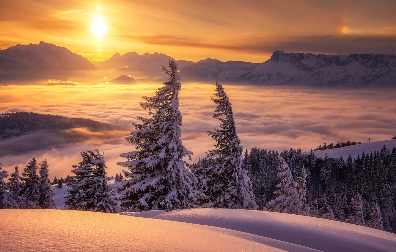 Фото обои зима, облака, снег, деревья, закат, горы, Австрия, ели