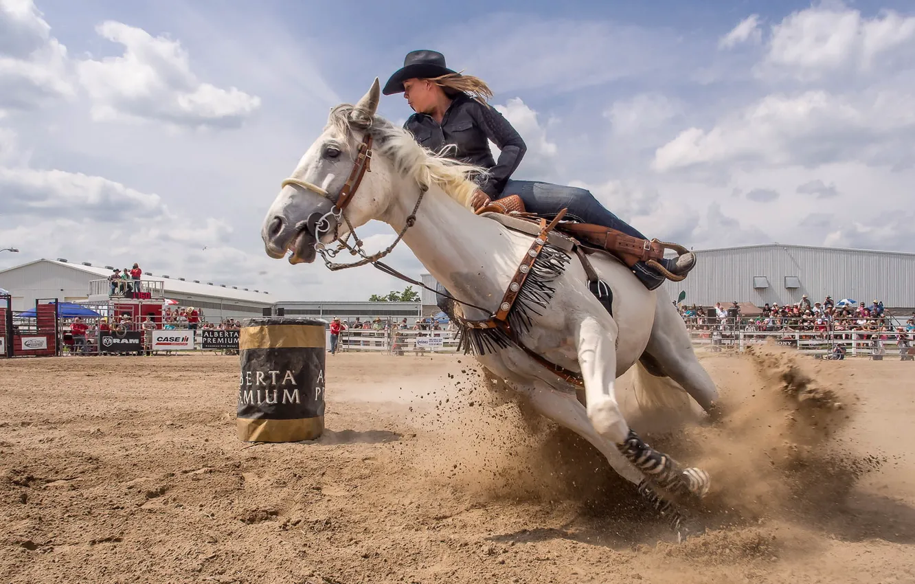 Фото обои девушка, конь, спорт