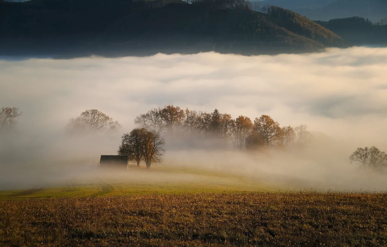 Фото обои осень, деревья, туман, луг, домик, Карл Эггер