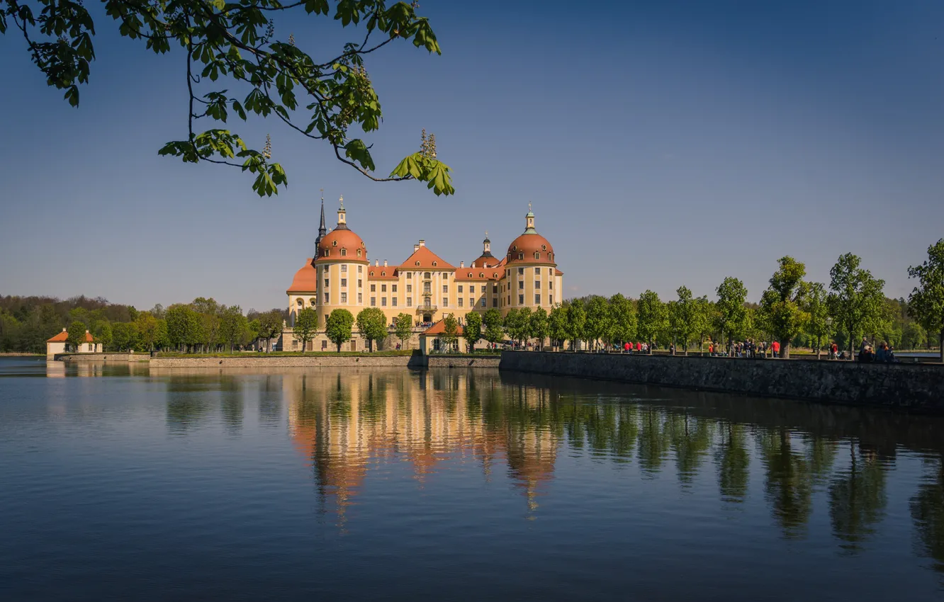 Фото обои вода, ветки, отражение, замок, Германия, Germany, Саксония, Морицбург