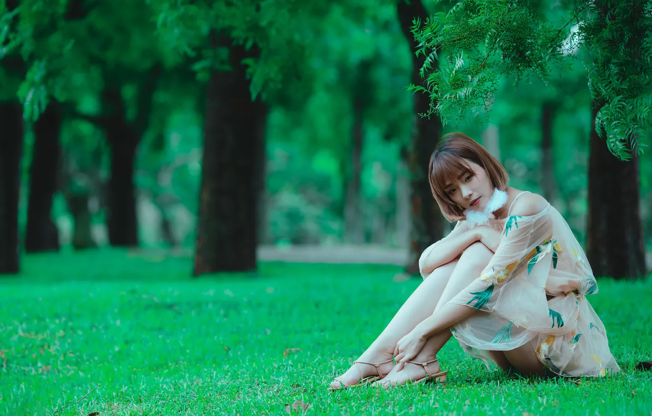 Фото обои взгляд, деревья, платье, dress, trees, look, красивая азиатка, очаровательная шатенка