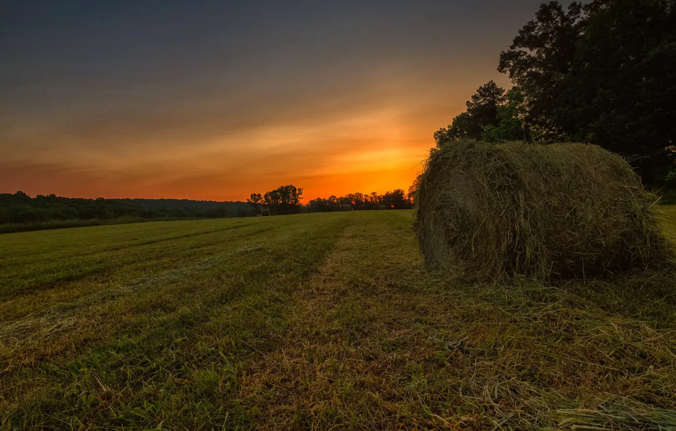 Фото обои поле, лето, закат, сено, Родина