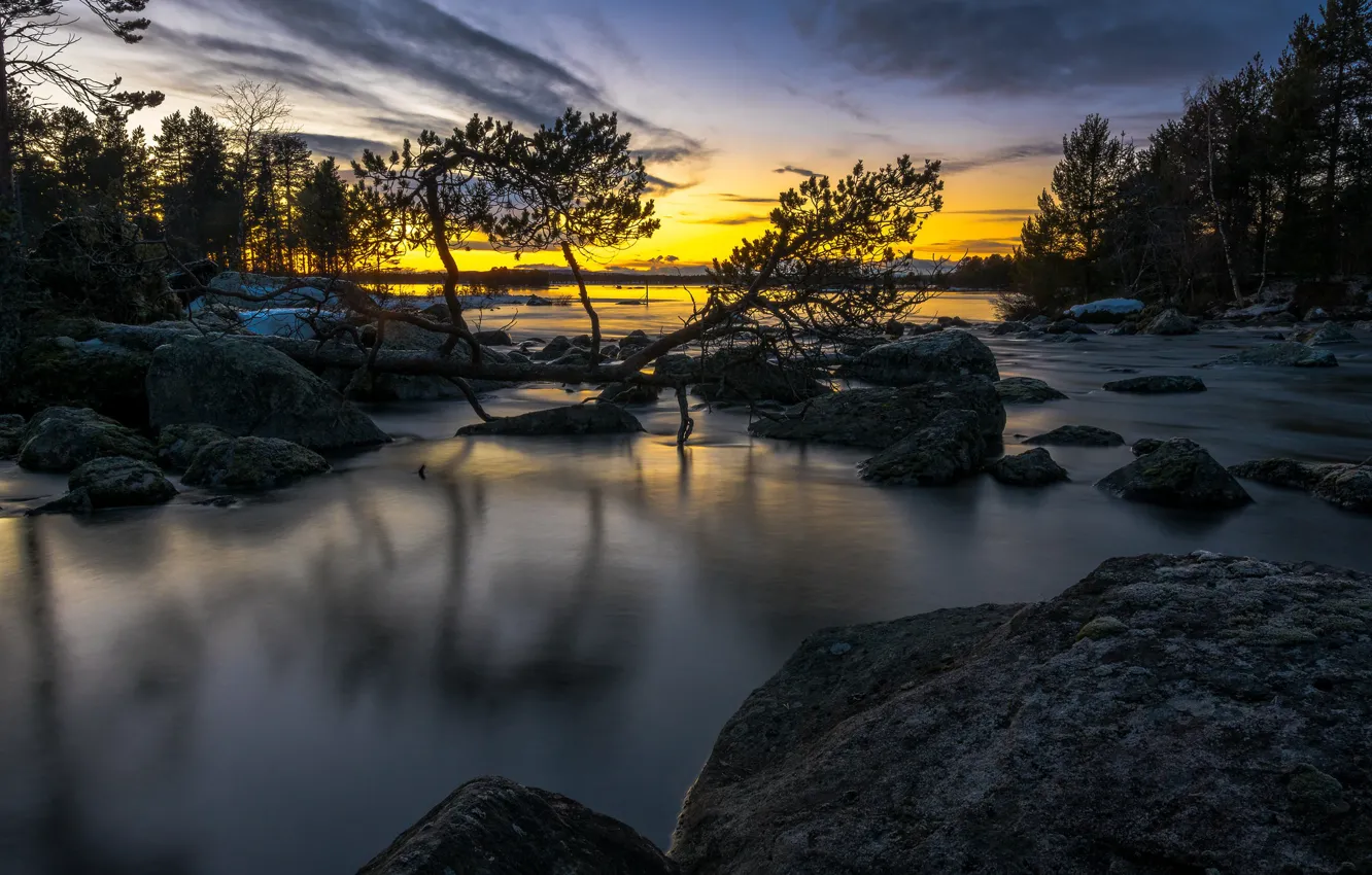 Фото обои зима, лес, закат, речка, Швеция, Sweden, Sverige, Lapland