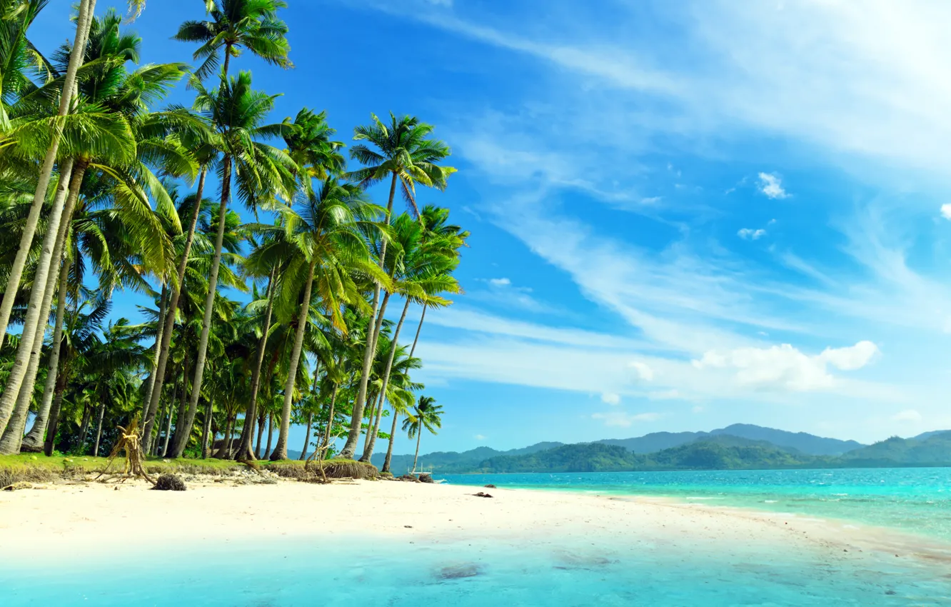 Фото обои море, пальмы, побережье, красота