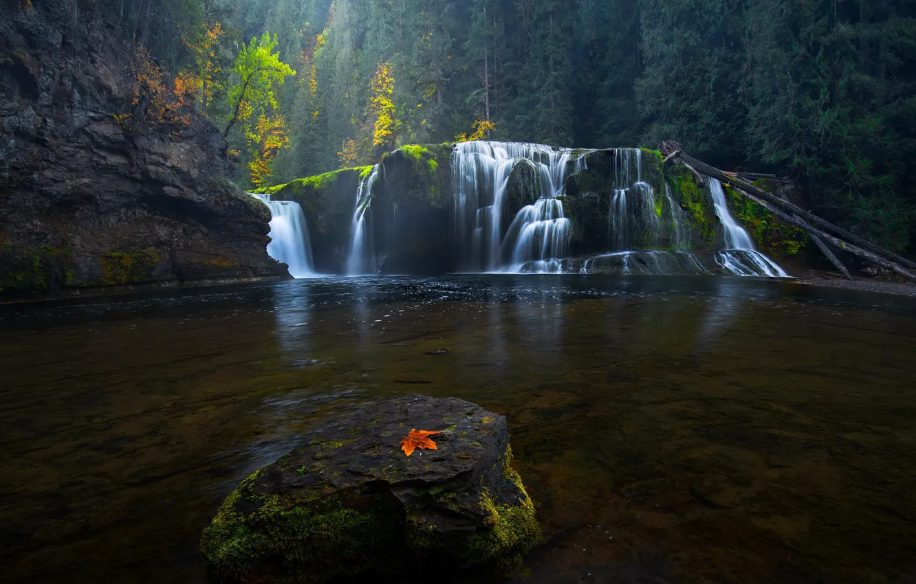 Фото обои осень, лес, скалы, листок, водопад, каскад