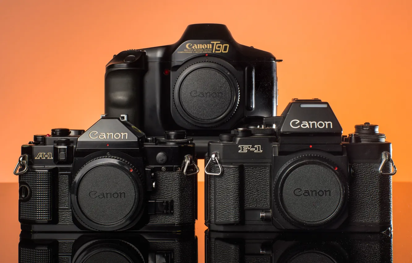 Фото обои макро, модель, фотоаппарат