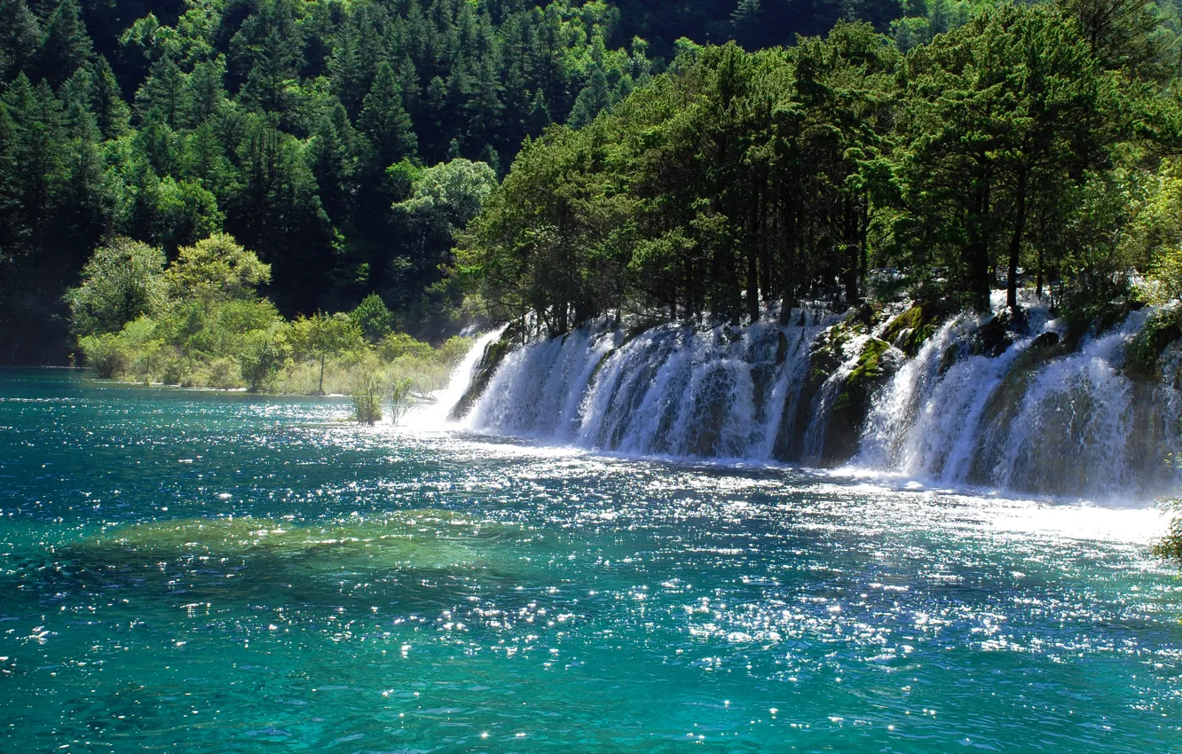 Фото обои деревья, река, водопад, Китай, солнечно, Jiuzhaigou National Park