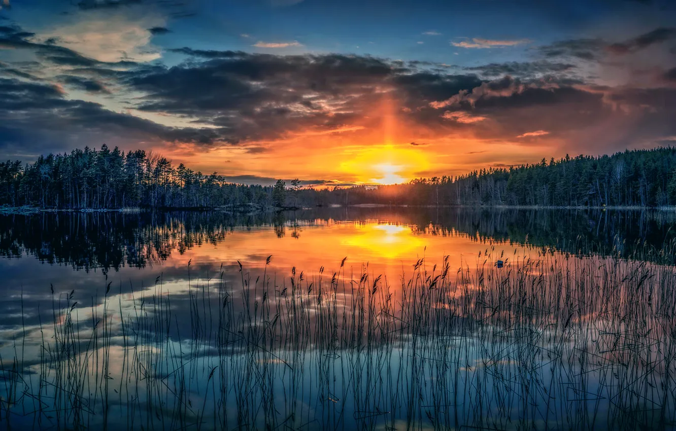 Фото обои солнце, закат, озеро
