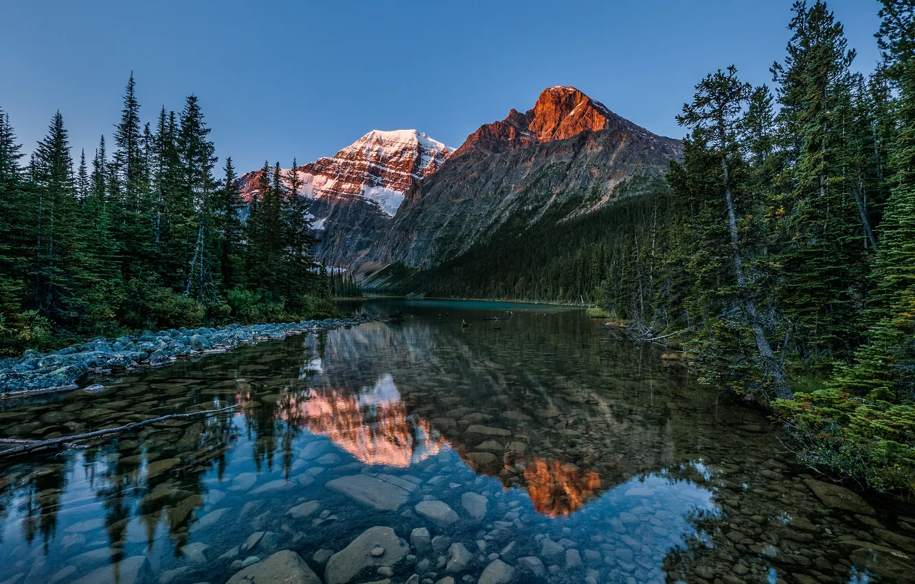Фото обои лес, природа, озеро, Канада, Альберта, Jasper National Park, гора Эдит Кавелл