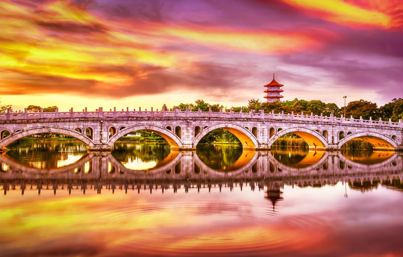 Фото обои закат, мост, озеро, отражение, Сингапур, водоём, Singapore, Chinese Garden