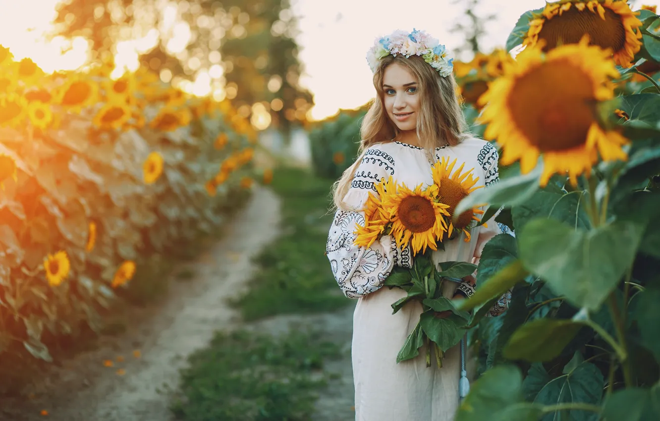 Фото обои поле, девушка, свет, подсолнухи, брекеты