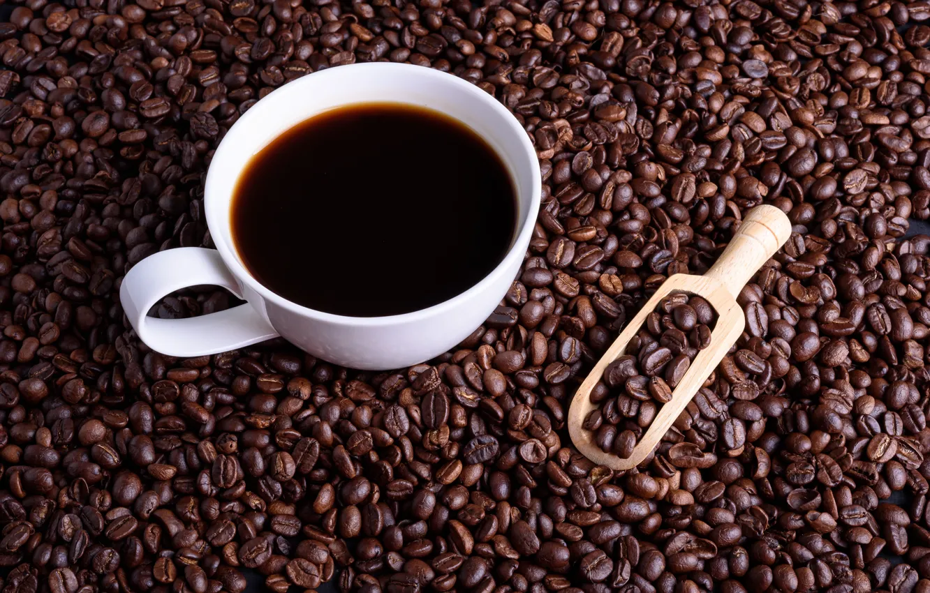 Фото обои Кофе, напиток, кофейные зерна, лопатка