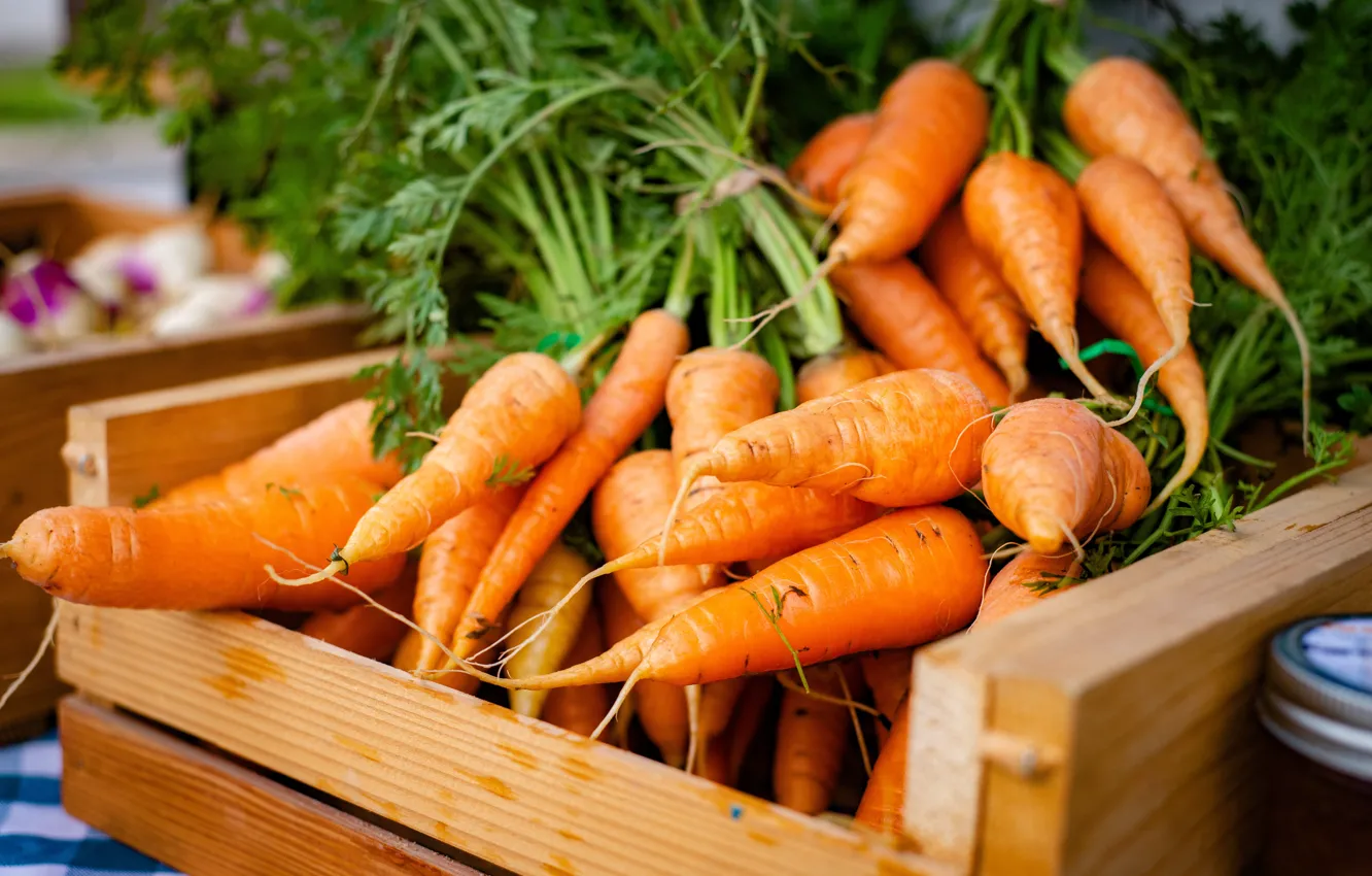 Фото обои Овощи, Market, Vegetables, Морковь, Рынок, Carrots