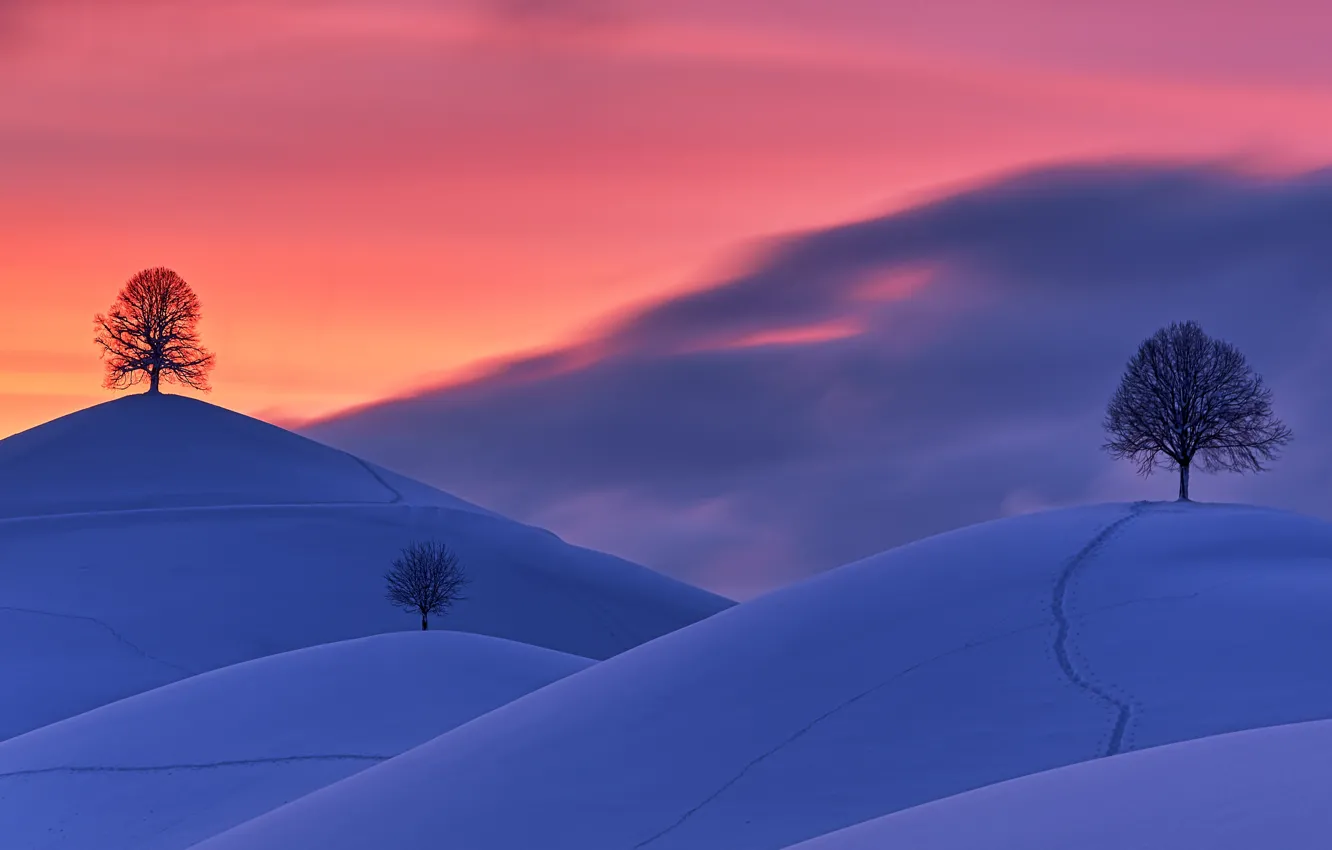 Фото обои зима, снег, деревья, закат, следы, холмы, Швейцария