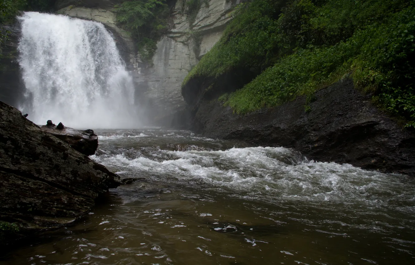 Фото обои вода, скала, растительность, водопад