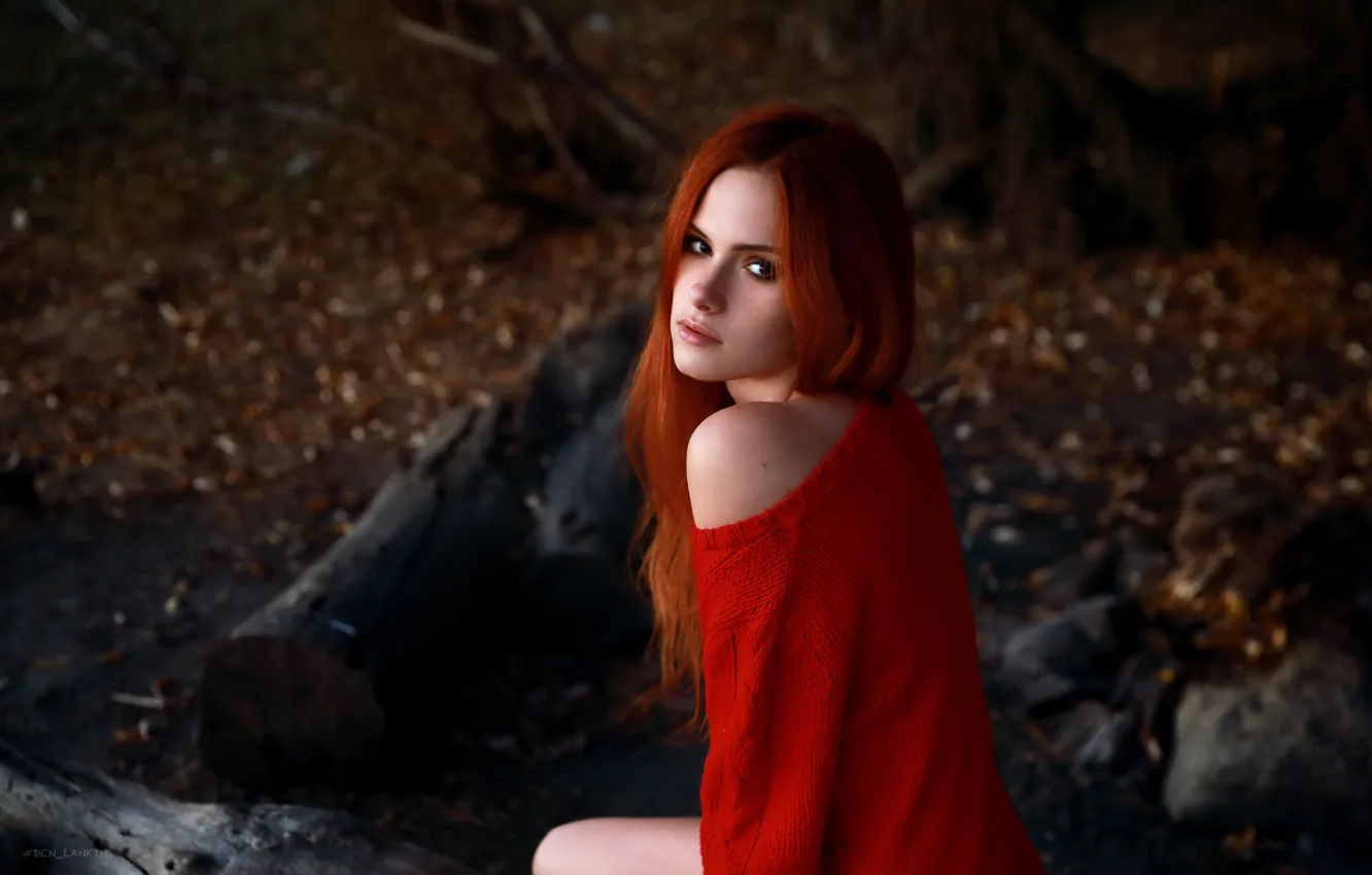 Фото обои взгляд, девушка, лицо, рыжая, рыжеволосая, плечо, длинные волосы, свитер