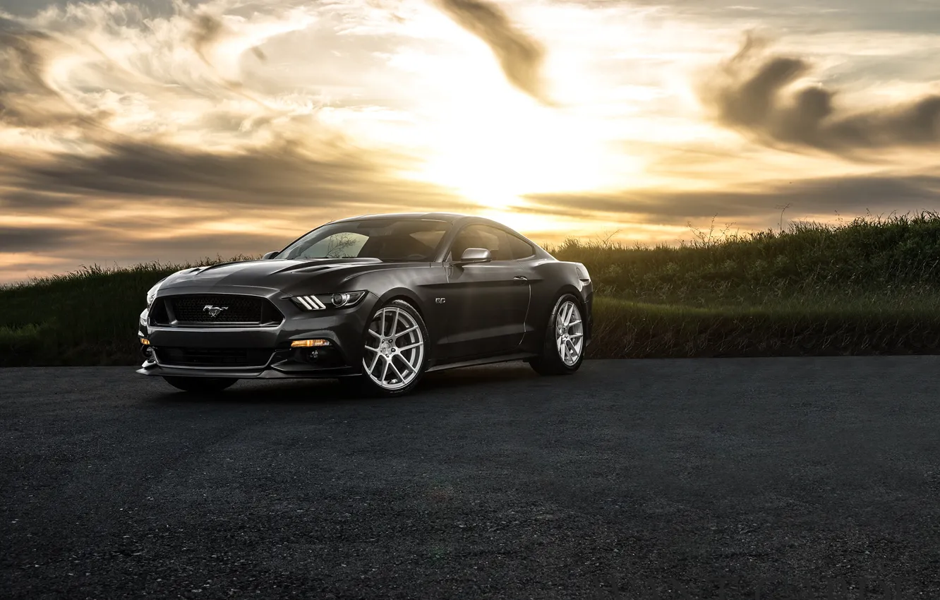 Фото обои Mustang, Ford, Muscle, Car, Front, Sunset, Wheels, Avant