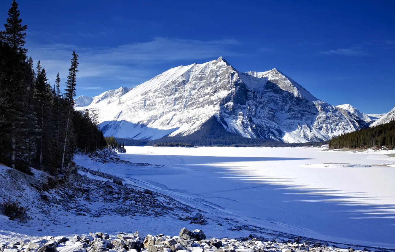 Фото обои лед, зима, небо, снег, деревья, горы, озеро, ель