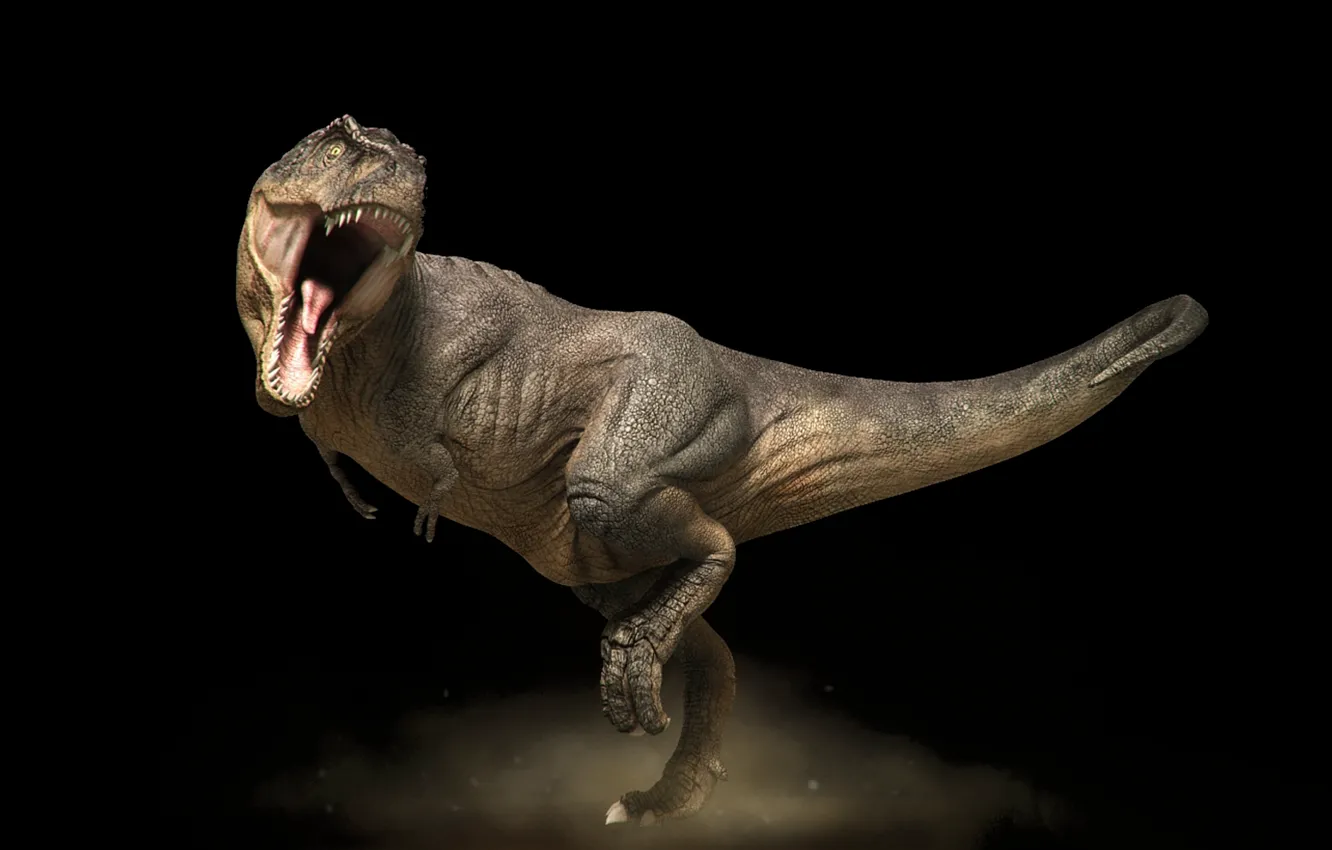 Фото обои темно, пасть, стойка, Тиранозавр рекс