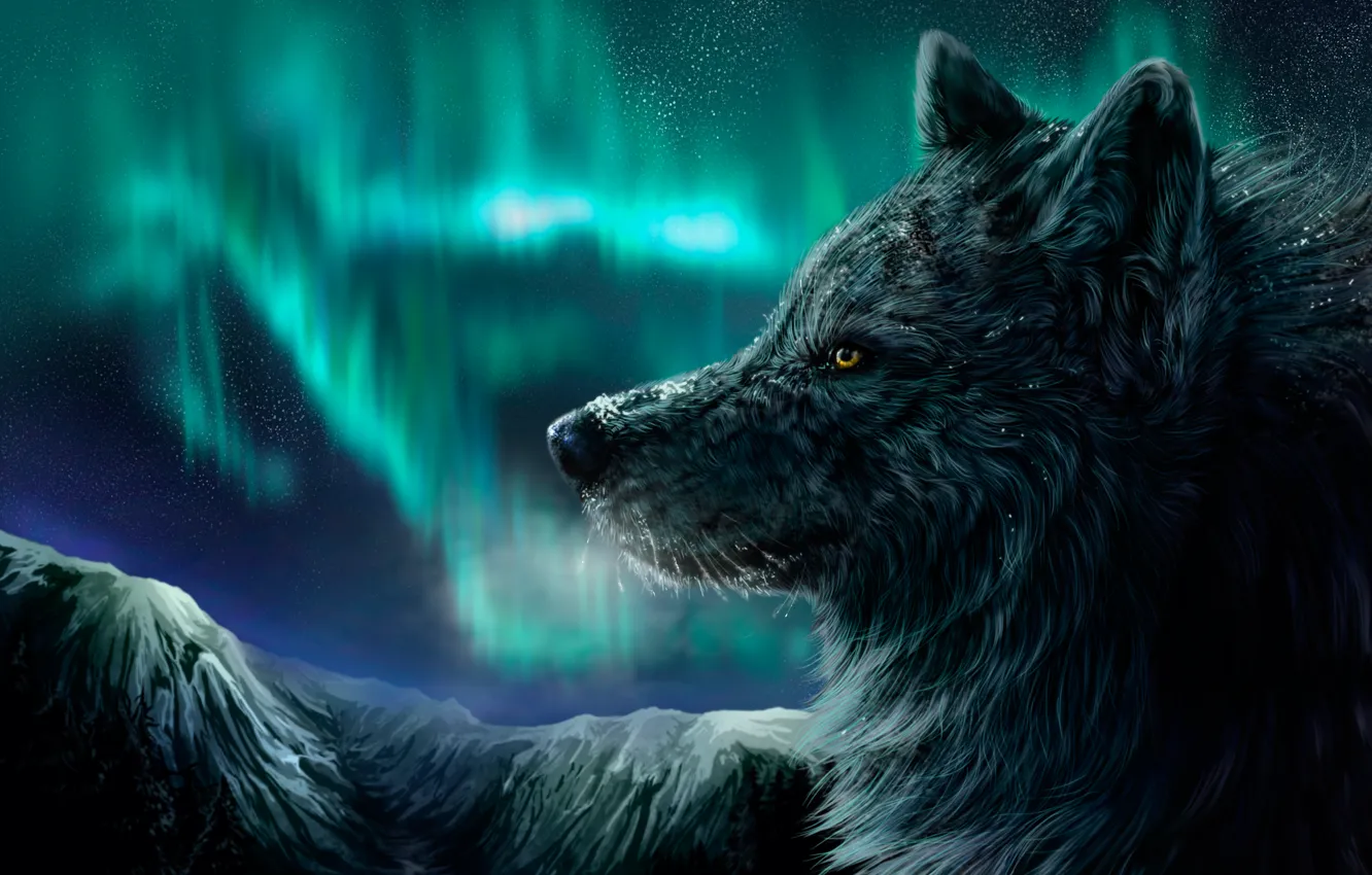 Фото обои горы, ночь, северное сияние, Волк