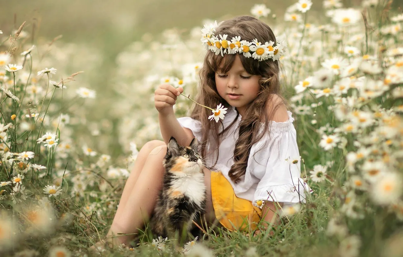Фото обои цветы, ромашки, луг, девочка, котёнок, друзья, венок, локоны