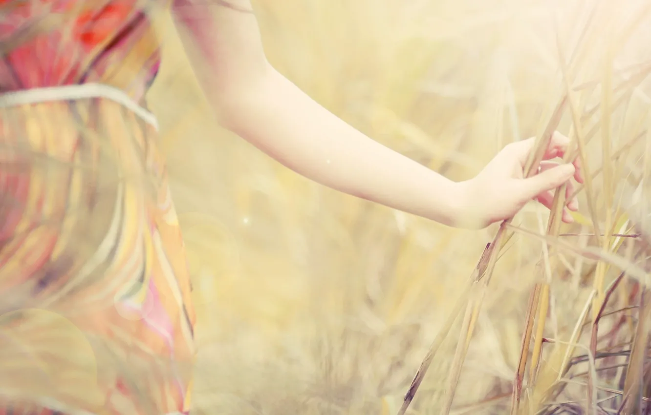 Фото обои поле, лето, трава, девушка, рука
