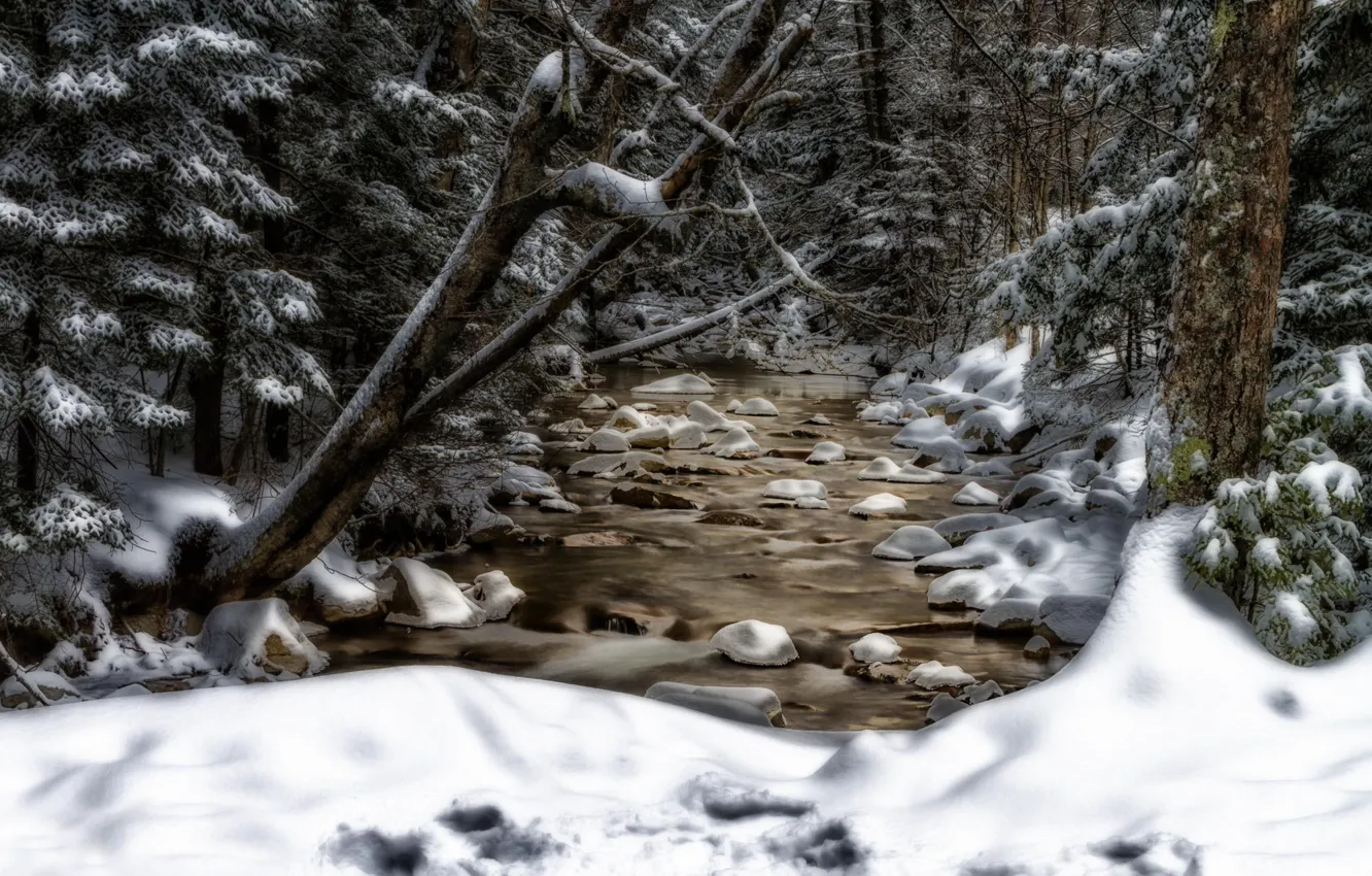 Фото обои снег, деревья, ручей, New Hampshire