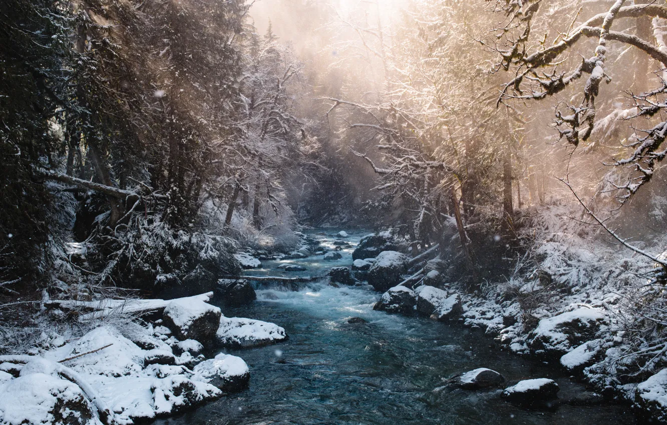 Фото обои Nature, Wood, Winter, Water, Ice, River, Rocks, Trees