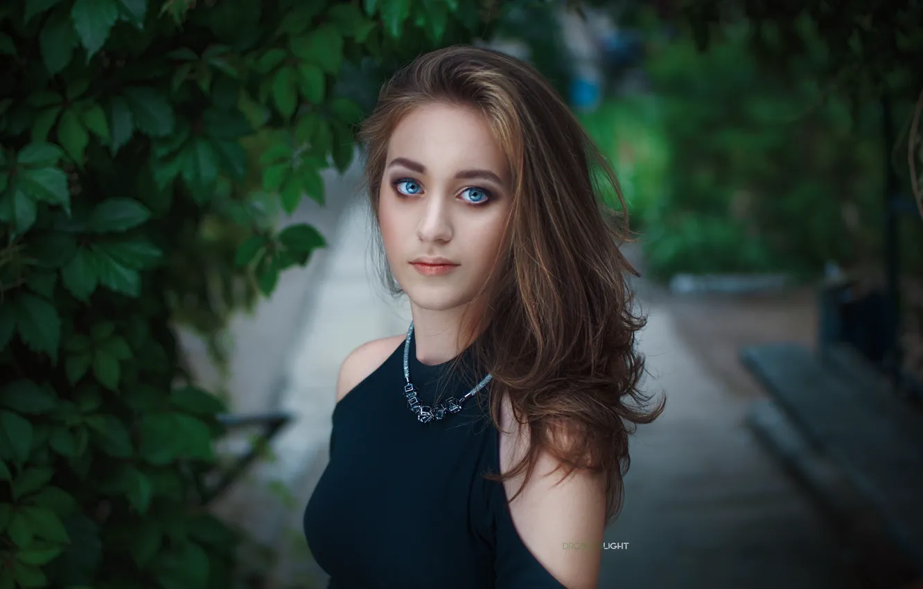 Фото обои зелень, взгляд, девушка, деревья, парк, листва, модель, портрет