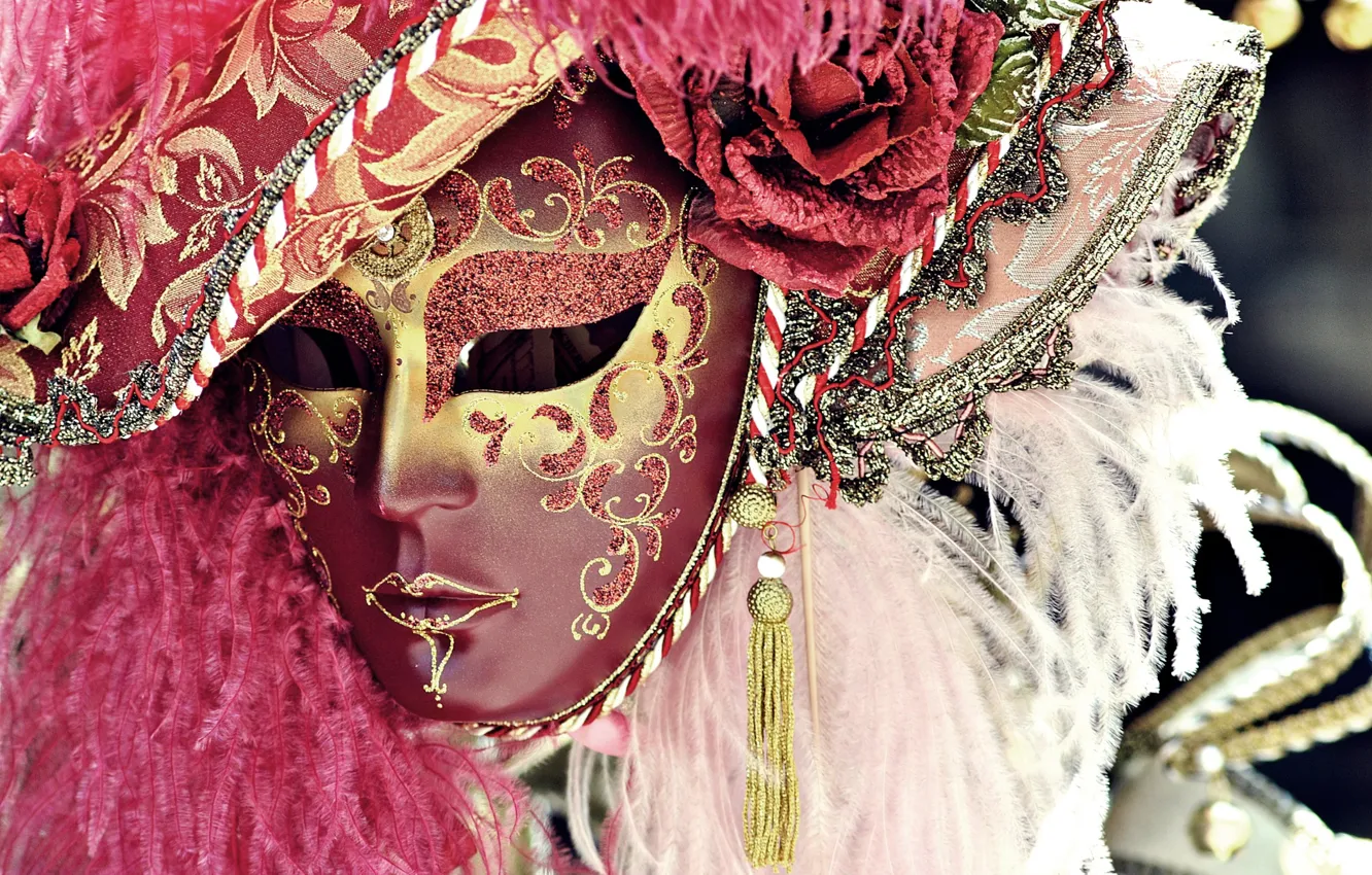 Фото обои перья, маска, карнавал