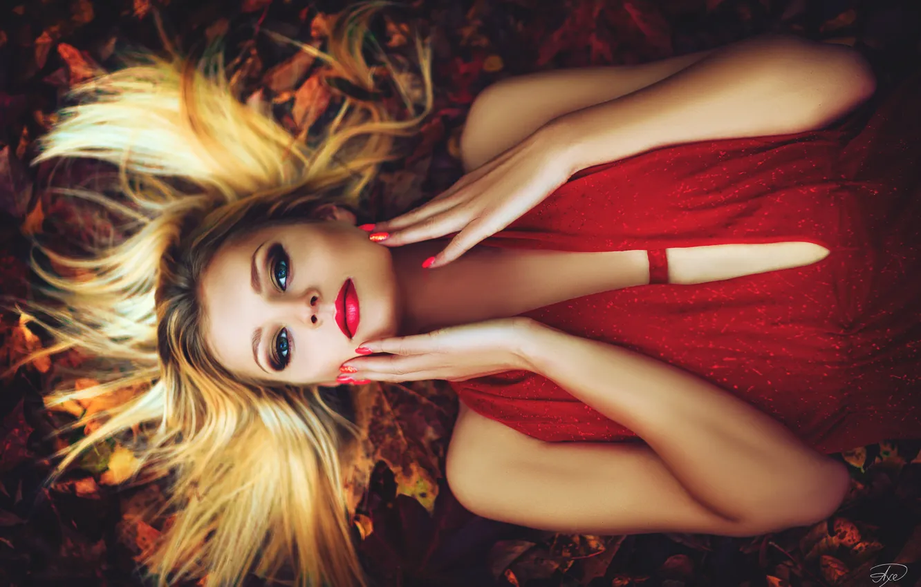Фото обои осень, взгляд, листья, девушка, лицо, руки, макияж, платье