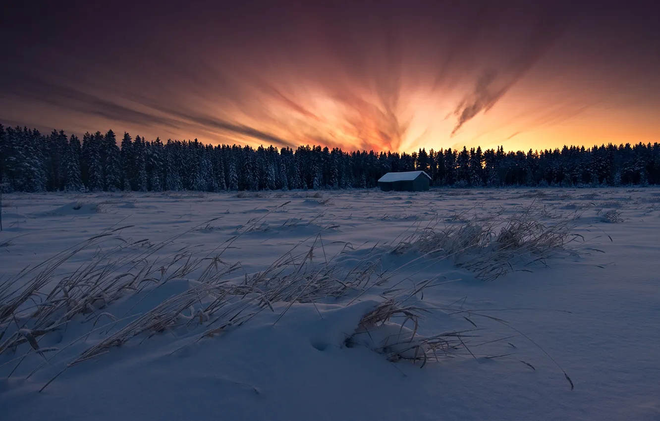 Фото обои зима, поле, лес, небо, снег, закат, Fiery Sky