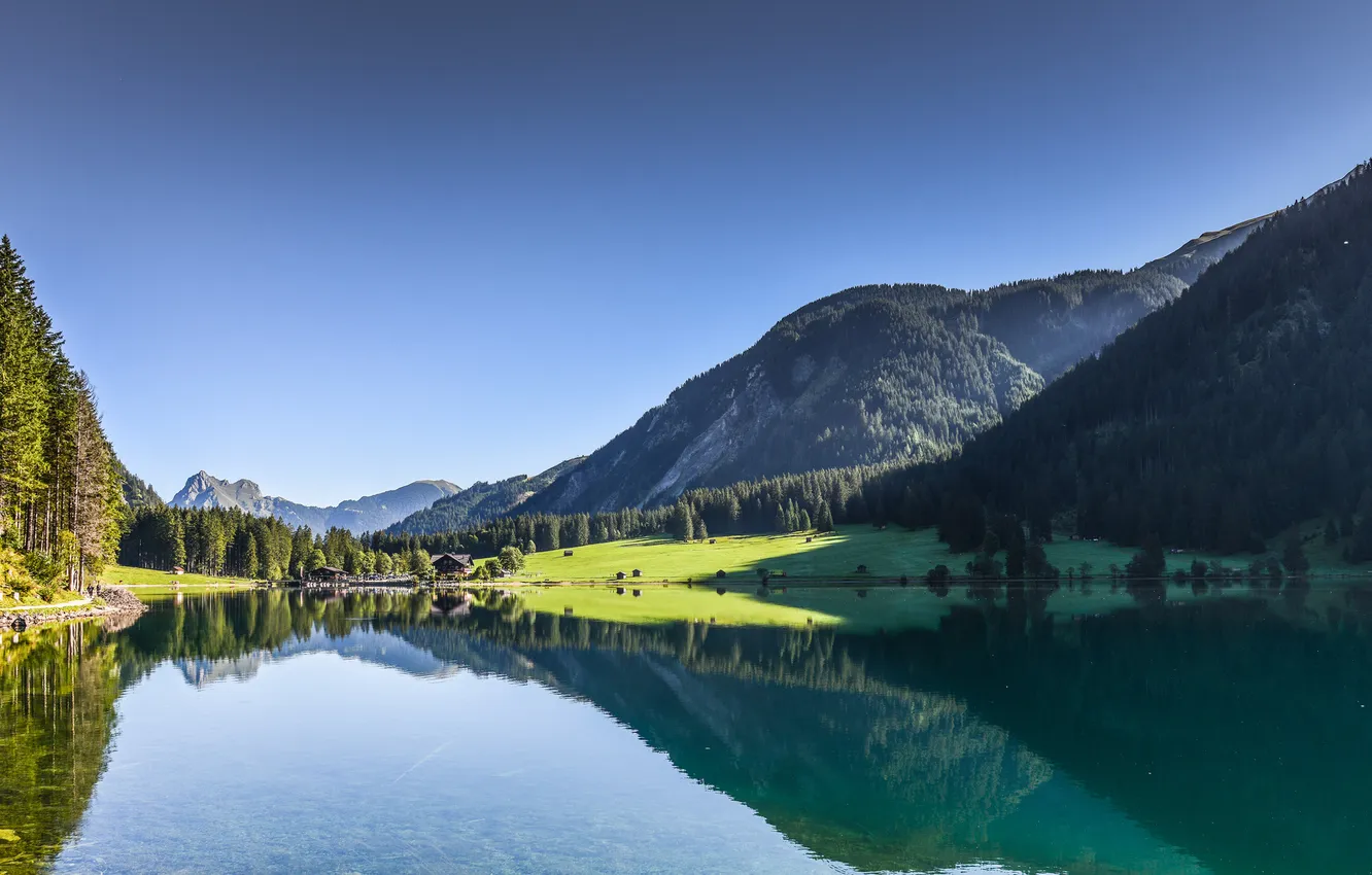 Фото обои лес, горы, озеро, Austria, Tyrol, Near Tannheim