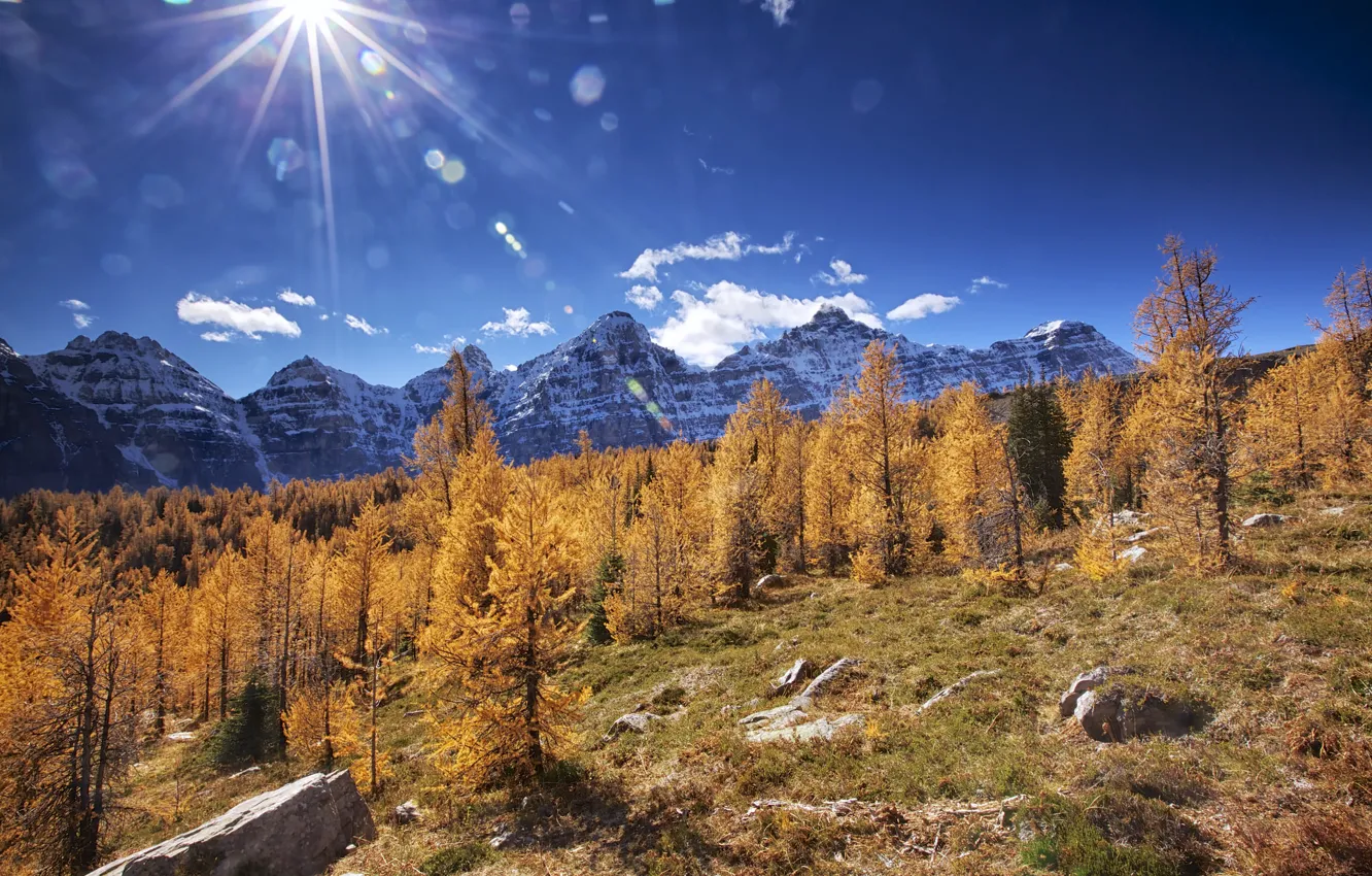 Фото обои осень, деревья, горы, камни, Канада, Альберта, Banff National Park
